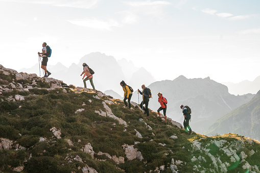 During their mountain ridge hike, diverse friends carry backpacks and hiking poles, having a good time and savoring the scenic view.