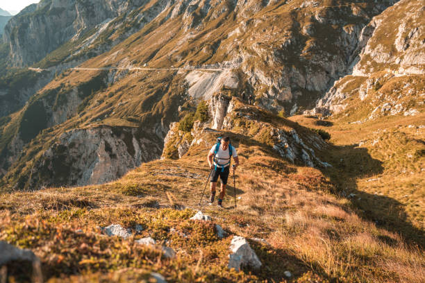 istock Mature Asian Man Trekking on a Sunny Day 1835250413