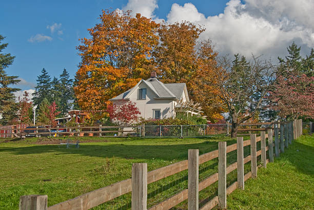 Old White Farmhouse in the Fall stock photo