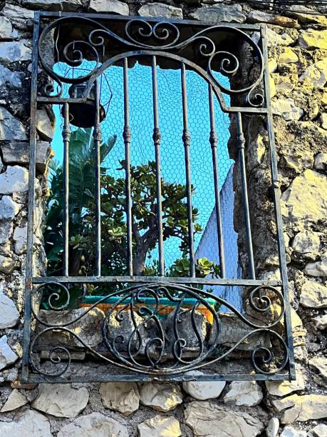 istock Garden in San Javier 1835270054