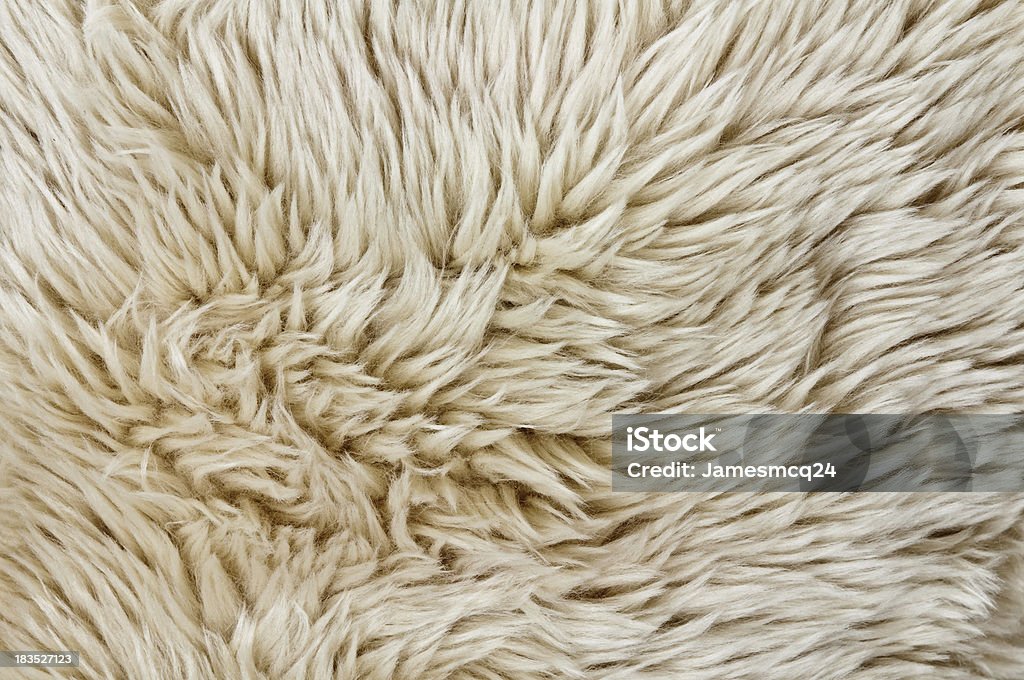 Fur Texture - Foto de stock de Con textura libre de derechos