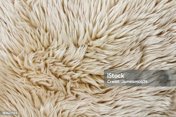 Fur Texture Foto de stock y más banco de imágenes de Con textura - Con textura, Efecto texturado, Encuadre completo