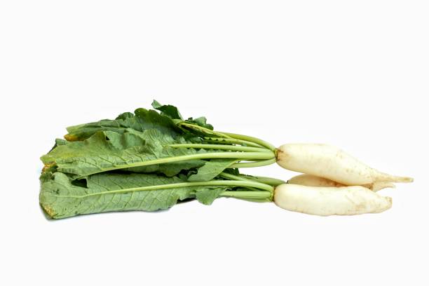 istock Organic Radish with Leaves Isolated on White Background with Copy Space, 1835281587