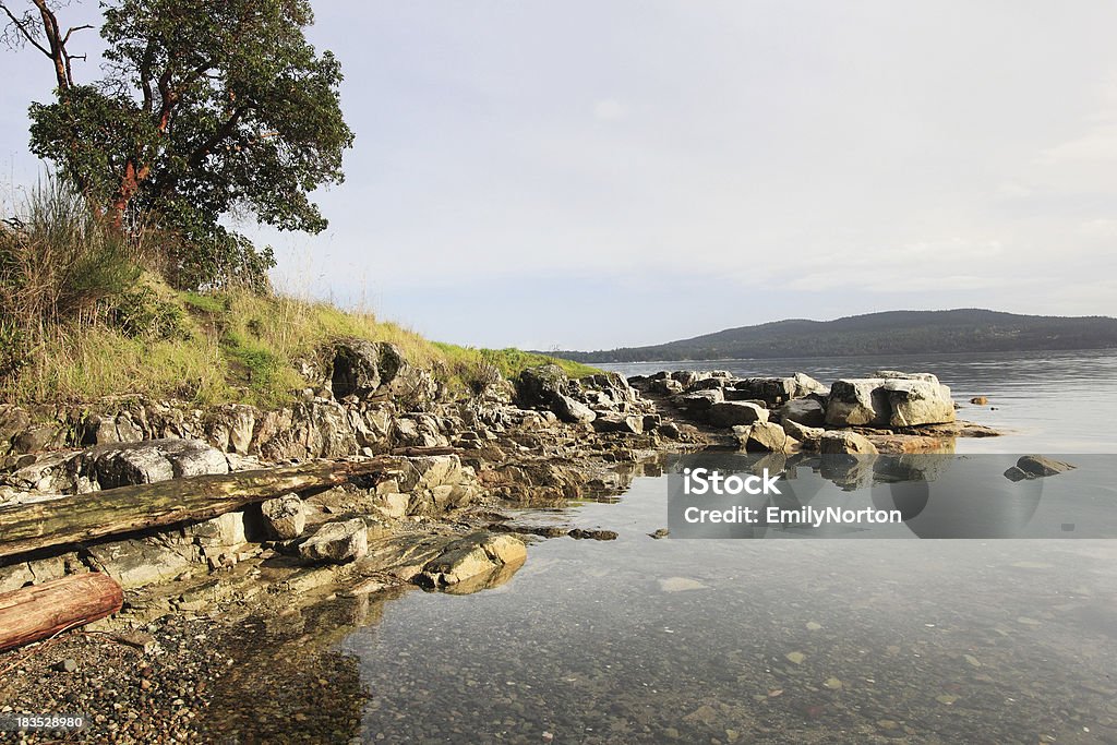 Mill Bay - Lizenzfrei Amerikanischer Erdbeerbaum Stock-Foto