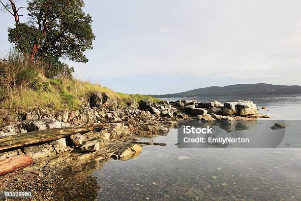 Mill Bay Stockfoto und mehr Bilder von Amerikanischer Erdbeerbaum - Amerikanischer Erdbeerbaum, Baum, Britisch-Kolumbien