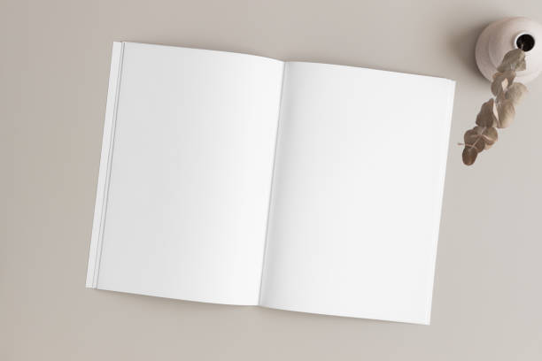 istock Open magazine mockup with an eucalyptus on the beige table. 1835293870