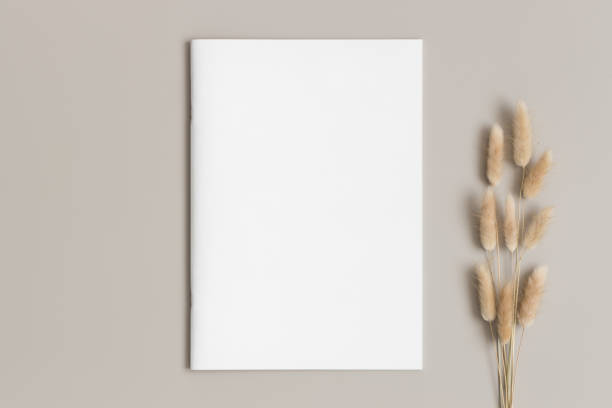Magazine mockup with a lagurus on the beige table.