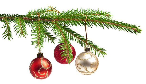istock Isolated pine tree branch with three Christmas balls hanging 183529816