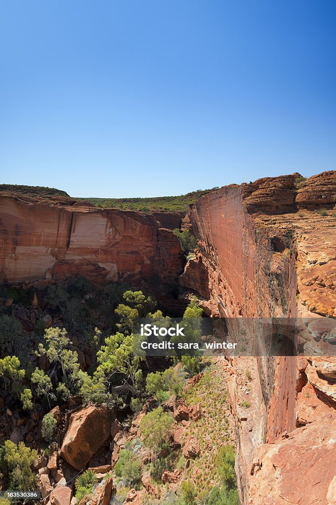 Kings Canyon en Territorio Septentrional, Australia en un día claro - Foto de stock de Kings Canyon libre de derechos