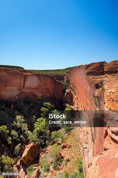 Kings Canyon In Northern Territory Australia In Una Giornata Limpida - Fotografie stock e altre immagini di Kings Canyon