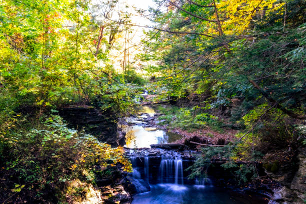 Buttermilk Falls State Park near Ithaca