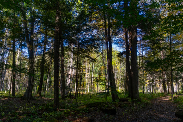 Buttermilk Falls State Park near Ithaca