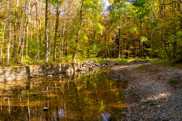 Buttermilk Falls State Park near Ithaca