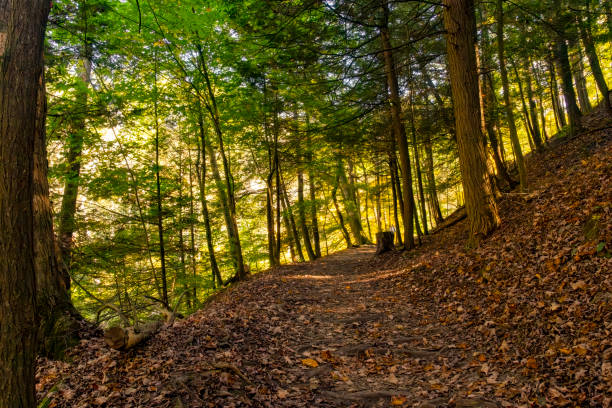 Buttermilk Falls State Park near Ithaca