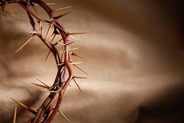 istock Crown of Thorns on Brown Background 183531822