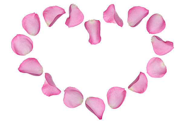 Pink Rose Petal Heart