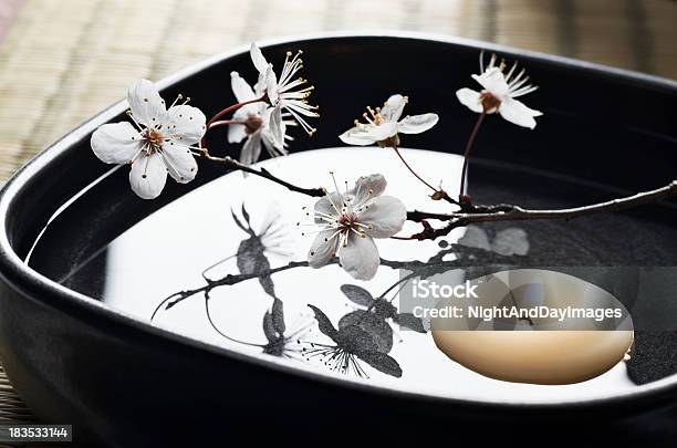 Zen Spa Still Life Stockfoto und mehr Bilder von Ikebana - Ikebana, Kerze, Luxus