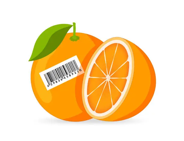 Vector illustration of Orange with barcode.