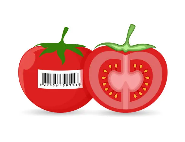 Vector illustration of Tomato with barcode.