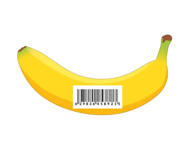 Vector illustration of Banana with barcode.