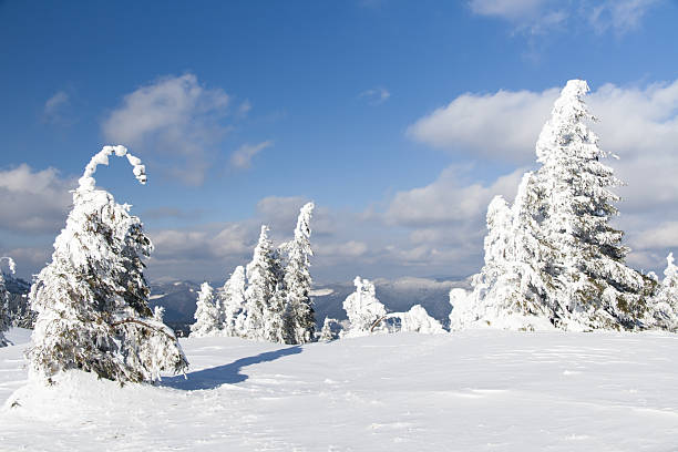 istock Carpathians. Mountains cowered with snow 183533623
