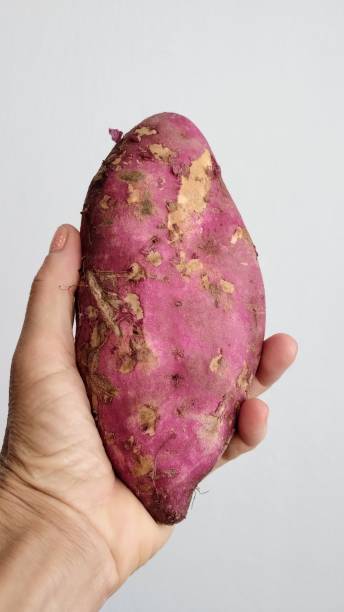 sweet potato - raw potato human skin red pink imagens e fotografias de stock