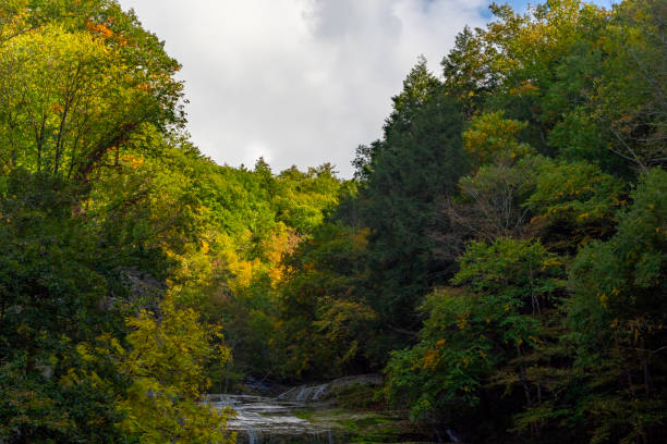 Cascadilla Gorge Trail, Ithaca NY - Waterfall