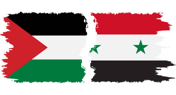 illustrations, cliparts, dessins animés et icônes de vecteur de connexion des drapeaux grunge de syrie et de palestine - ramallah historical palestine palestinian culture west bank