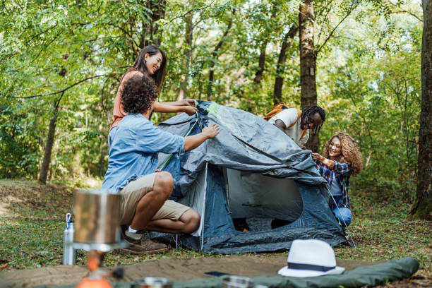 istock Young friends setting up a tent in the forest 1835359440