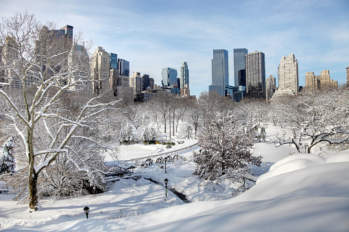 blizzard in New York City turns Central Park into a winter wonderland. Photo taken from a scenic viewpoint showing the Manhatten skyline rising from the snow covered  trees. 