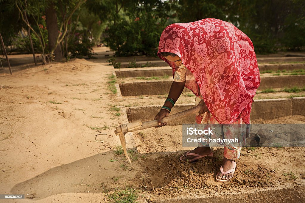 Indian donna che lavora in Orto - Foto stock royalty-free di Sentiero