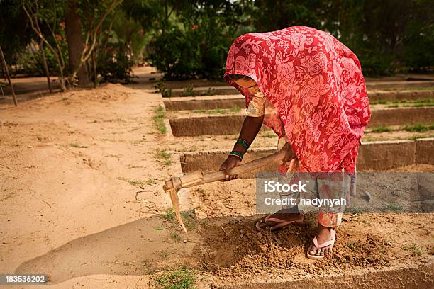 Indian Donna Che Lavora In Orto - Fotografie stock e altre immagini di Sentiero - Sentiero, Sentiero di campagna, Adulto