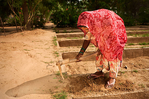 istock Indian woman working in the vegetable garden 183536202