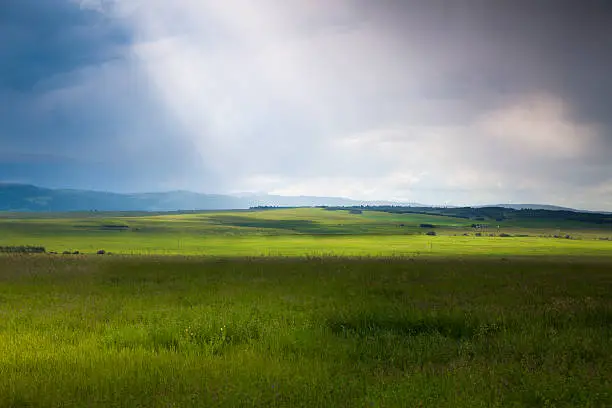 Photo of Prairie Storm