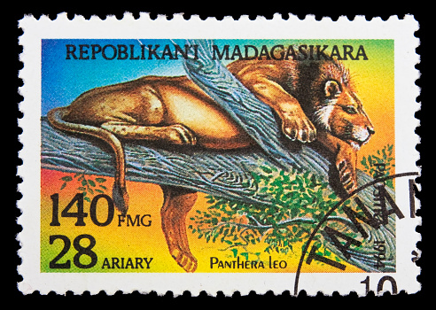 Postage stamps with wild lion
