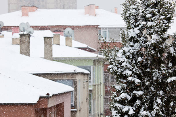 istock chimney- pine tree, City Life and Snowing 183537097