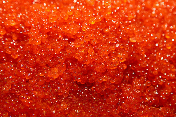 Roter Kaviar – Foto