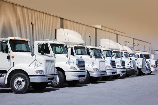 istock Industrial truck fleet 183537946