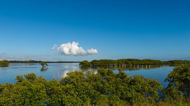istock Newcastle bay from stockton at sunrise 183538637