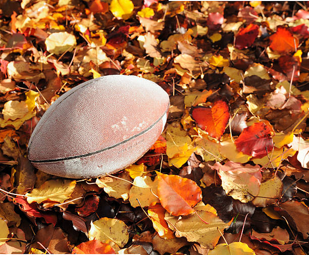 istock Autumn football 183538777