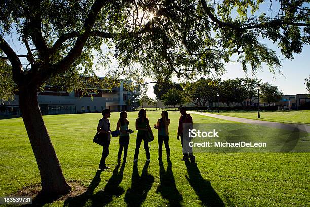 Foto de Estudantes Universitários Sillouette e mais fotos de stock de 20-24 Anos - 20-24 Anos, Aluno de Universidade, Amizade