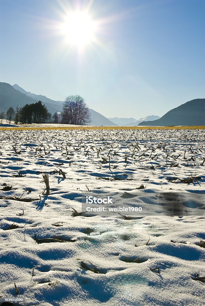 Verlassenen landwirtschaftlichen Bereich in der Sonne und Winter-Landschaft - Lizenzfrei Winterweizen Stock-Foto