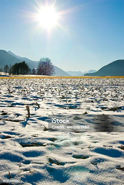 Verlassenen Landwirtschaftlichen Bereich In Der Sonne Und Winterlandschaft Stockfoto und mehr Bilder von Winterweizen