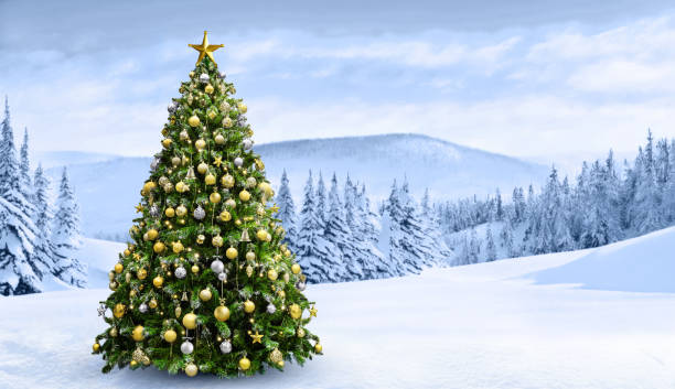istock Christmas tree in beautiful snowy landscape 1835404845