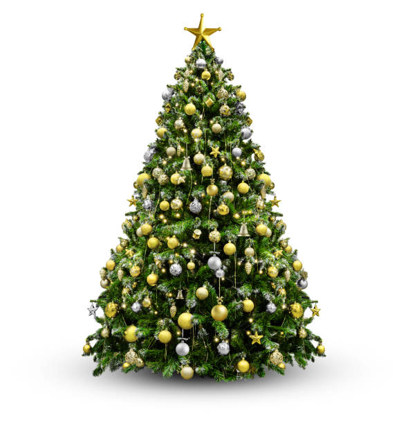 istock Decorated Christmas tree for new year isolated on white 1835405371
