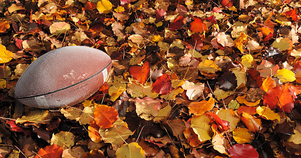istock Frosted football in fall foliage 183540597