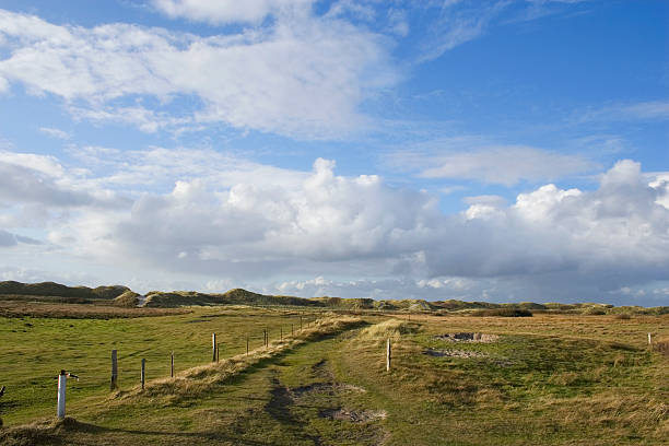 istock Grassland on Amrum in the late afternoon. 183540822