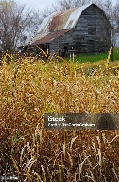 Barn Stockfoto und mehr Bilder von Agrarbetrieb - Agrarbetrieb, Alt, Außenaufnahme von Gebäuden