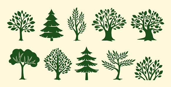 Set of trees icons. Stickers with Green plants silhouettes. Oak, pine, spruce and aspen. Bushes with foliage and leaves. Ecology and flora. Cartoon flat vector collection isolated on beige background