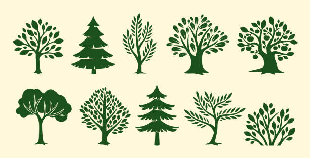 Set of trees icons vector Set of trees icons. Stickers with Green plants silhouettes. Oak, pine, spruce and aspen. Bushes with foliage and leaves. Ecology and flora. Cartoon flat vector collection isolated on beige background simple tree silhouette stock illustrations